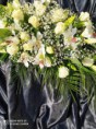 /album/fotogaleria-2020-zive-kvety-na-rakvy/img-3027-jpg/