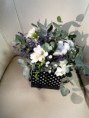/album/fotogaleria-flowerboxy-2021/img-0815-jpg/